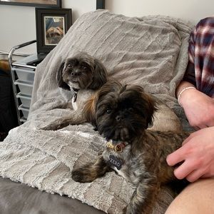 Meet your Posher, Mckay benjamin